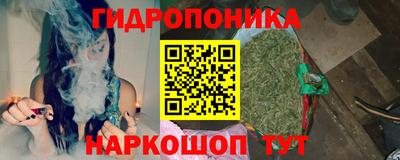 индика Северобайкальск