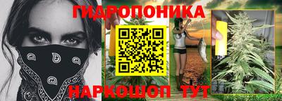 индика Северобайкальск