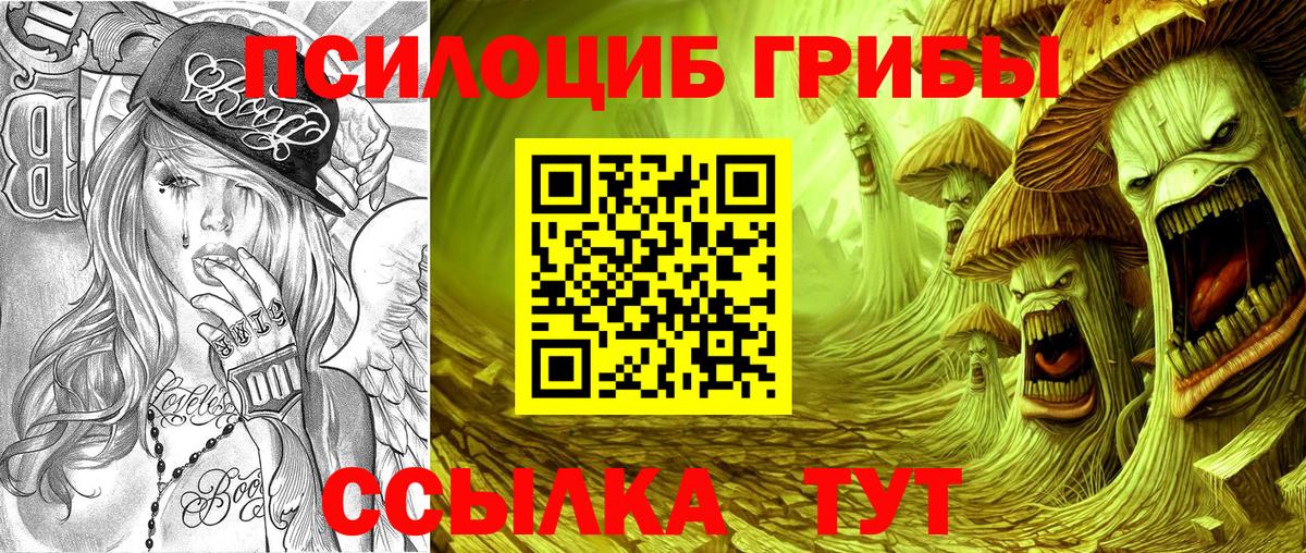 Псилоцибиновые грибы ЛСД Новороссийск