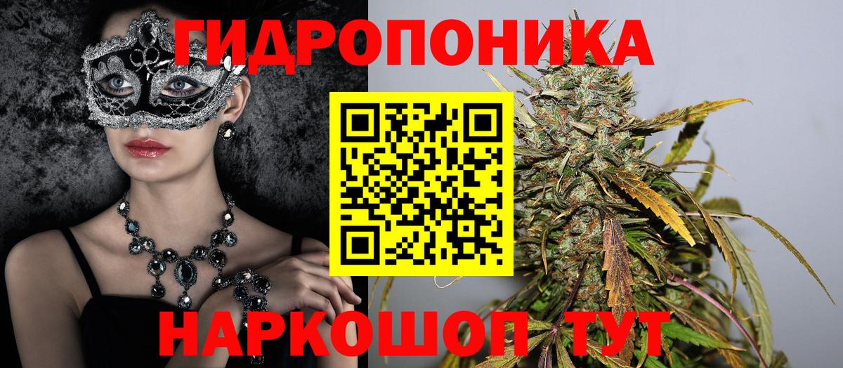 Бошки Шишки Bruce Banner  Шишки марихуана конопля  Вход с VPN  Конопля индика  Новороссийск  Каннабис THC 21% 